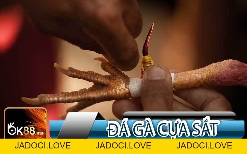 Đá Gà - JADOCI